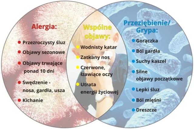 Czy alergia może wywołać gorączkę? Prawda o objawach alergii Czy alergia może wywołać gorączkę? Prawda o objawach alergii