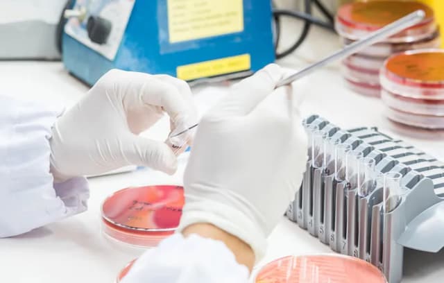 Biotechnologia medyczna co to? Odkryj jej znaczenie i zastosowania Biotechnologia medyczna co to? Odkryj jej znaczenie i zastosowania