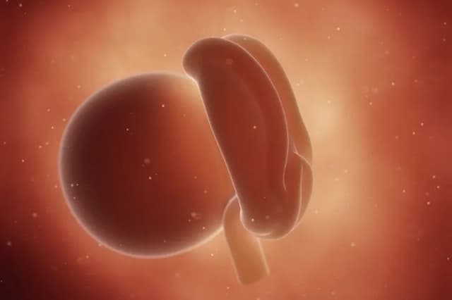 Objawy w 4 tygodniu ciąży – co może Cię zaskoczyć? Objawy w 4 tygodniu ciąży – co może Cię zaskoczyć?