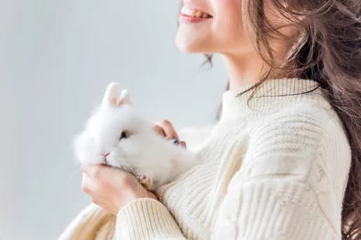 Czy królik uczula? Objawy i alergeny, które warto znać Czy królik uczula? Objawy i alergeny, które warto znać