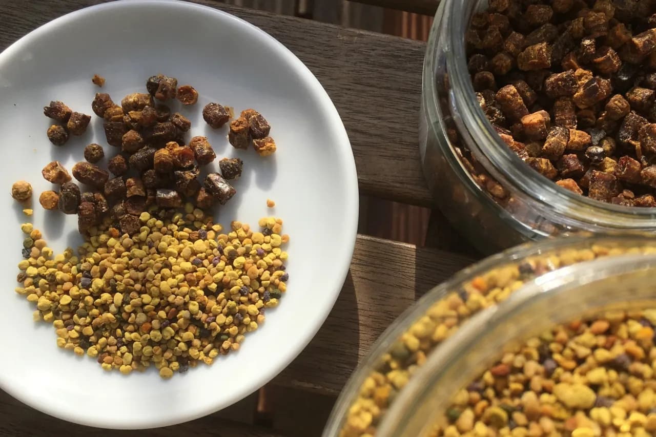 Czy pyłek pszczeli uczula? Sprawdź objawy i ryzyko alergii Czy pyłek pszczeli uczula? Sprawdź objawy i ryzyko alergii