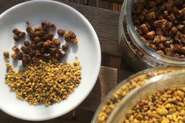 Czy pyłek pszczeli uczula? Sprawdź objawy i ryzyko alergii Czy pyłek pszczeli uczula? Sprawdź objawy i ryzyko alergii