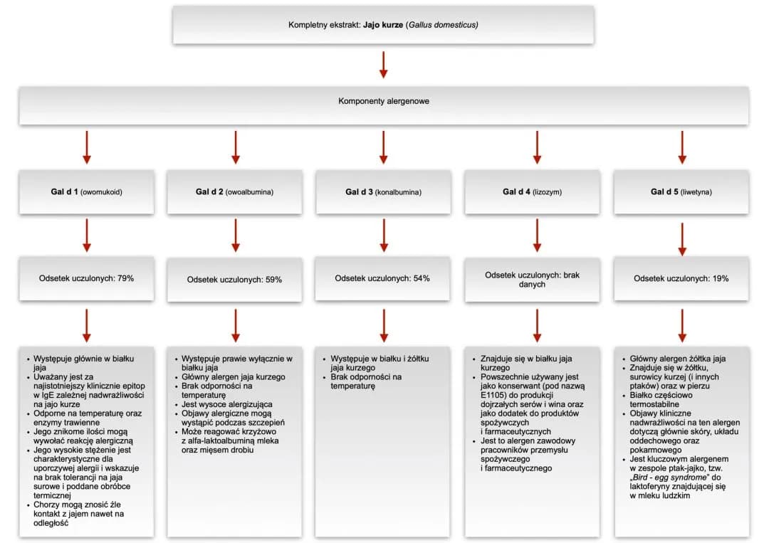 Co uczula w jajku: białko czy żółtko? Poznaj różnice i ryzyko Co uczula w jajku: białko czy żółtko? Poznaj różnice i ryzyko