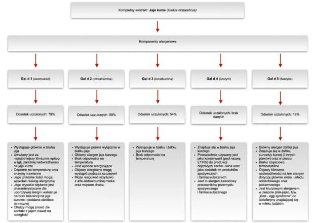 Co uczula w jajku: białko czy żółtko? Poznaj różnice i ryzyko Co uczula w jajku: białko czy żółtko? Poznaj różnice i ryzyko